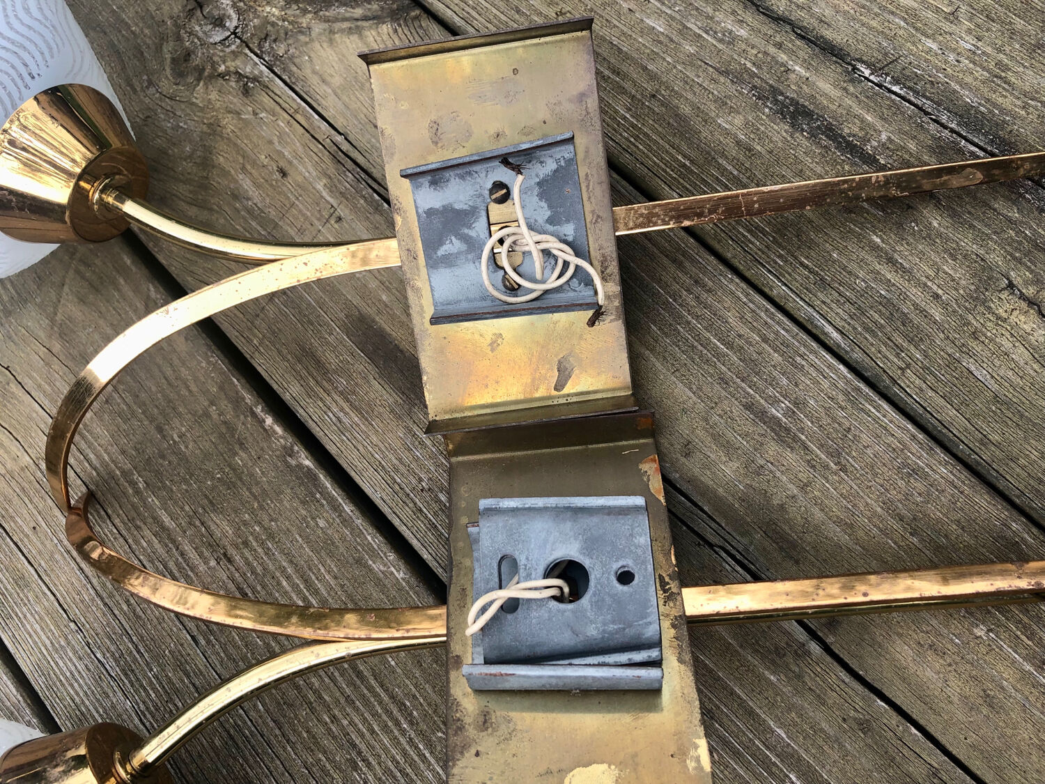 Glass and gold metal tulip wall lights