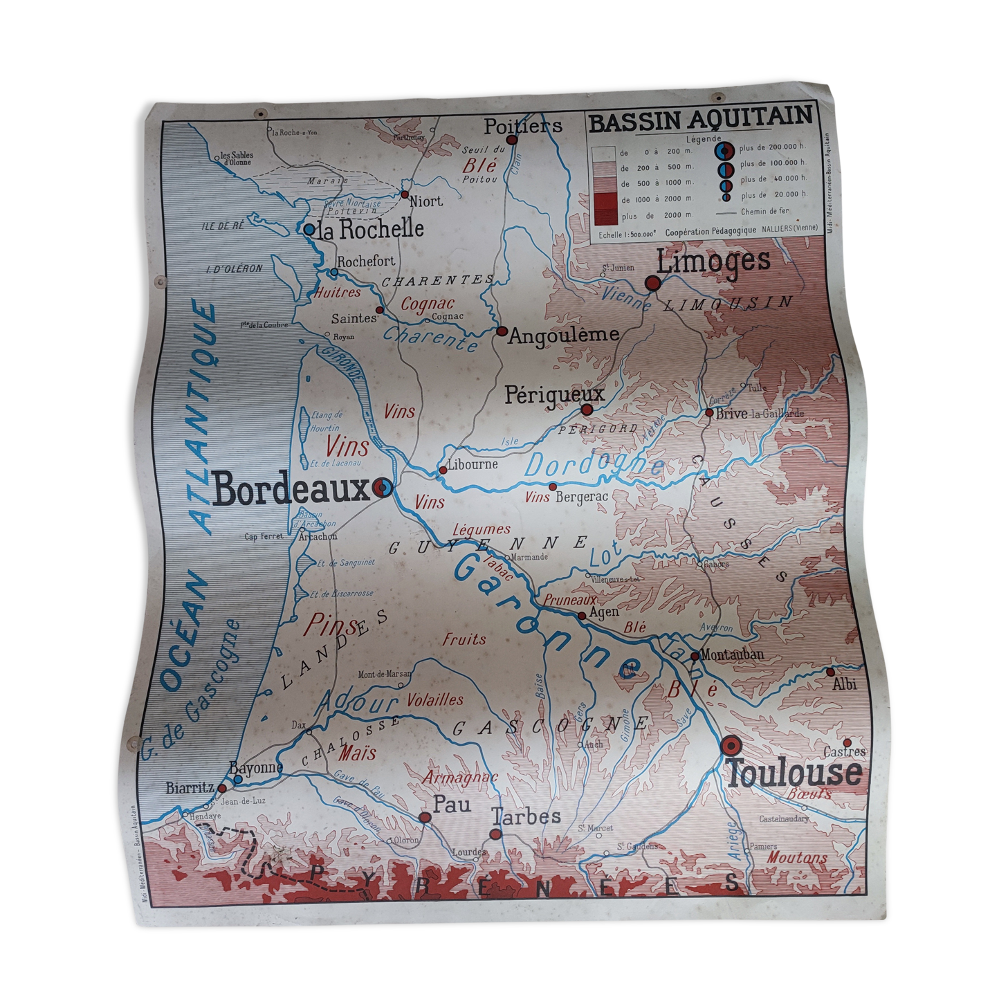 Rossignol School Card