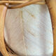 Bamboo and rattan suspension, Louis Sognot