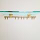 Brass and Glass R14G Wall-Mounted Coat Rack from Peter Ghyczy, 1980s