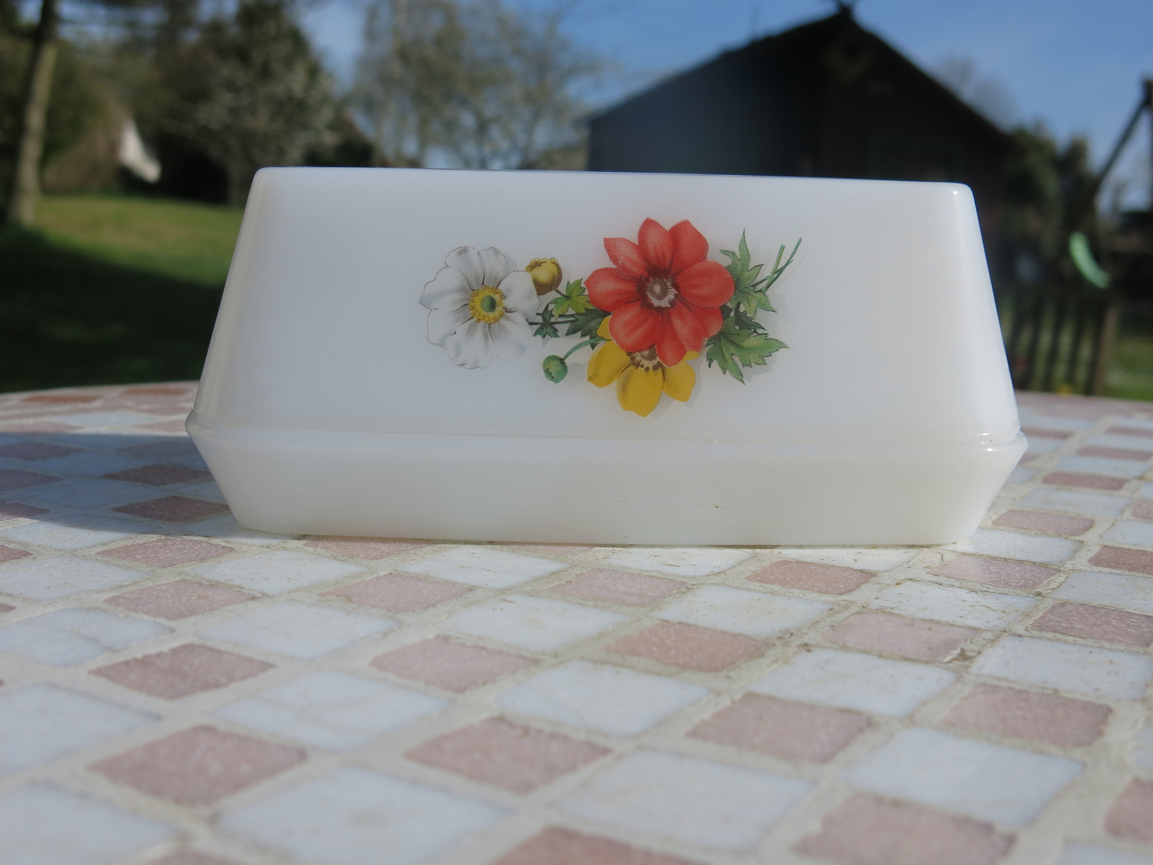 Butter Arcopal red flower