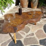 Elm tree trunk coffee table