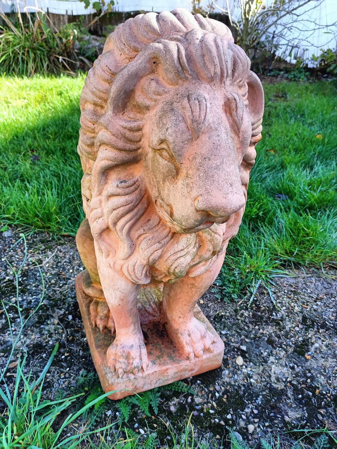 Pair of old terracotta garden lions