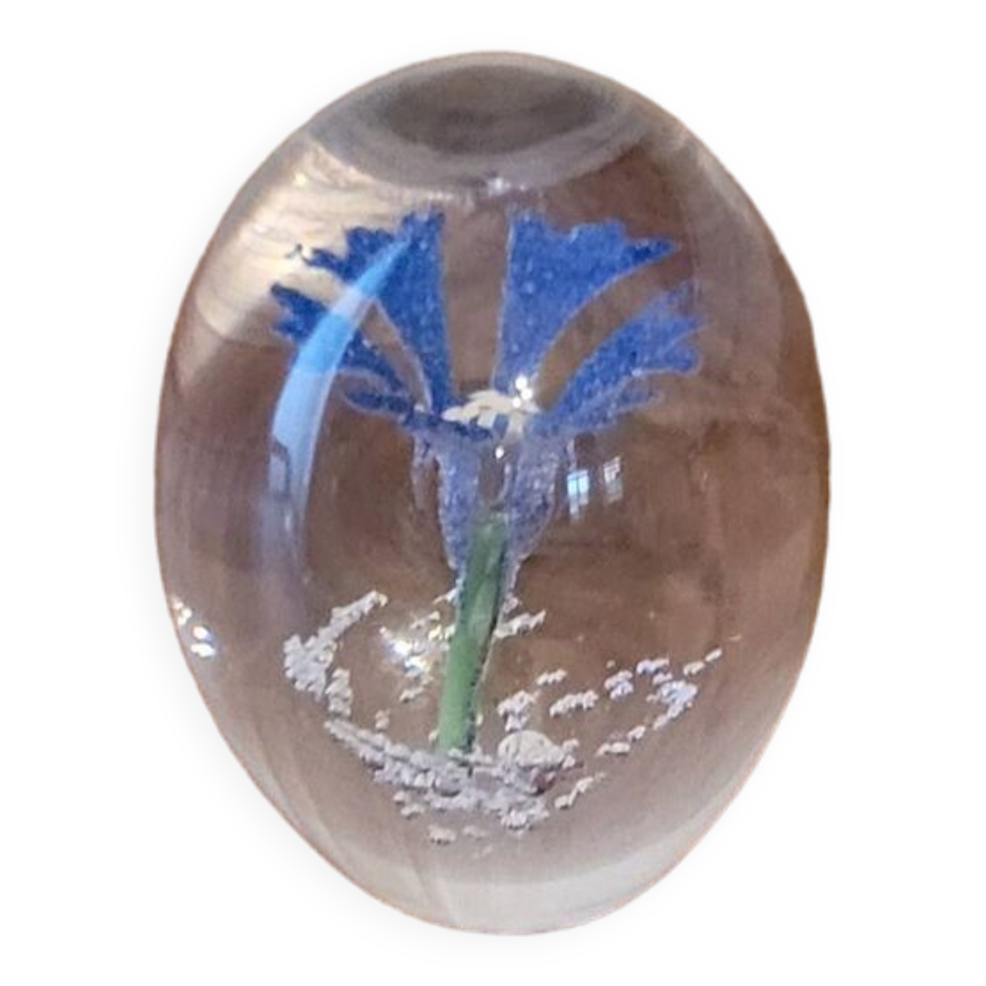 Paperweight in Daum France signed