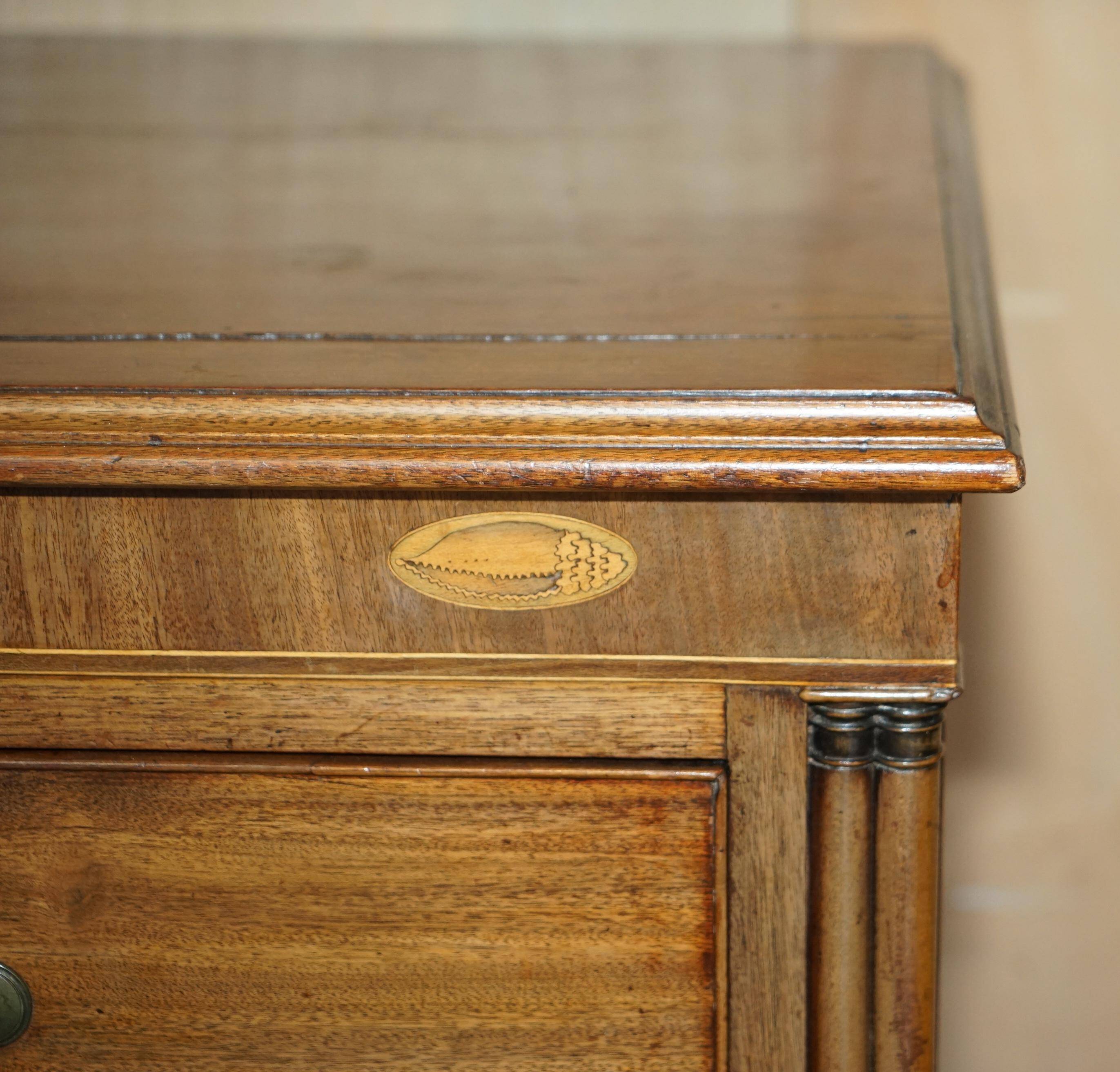 Grande commode antique Thomas Chippendale Sheraton Revival bois dur