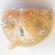 Empty ceramic pocket signed LB for Bernard Lecuyer fish shape 1960s