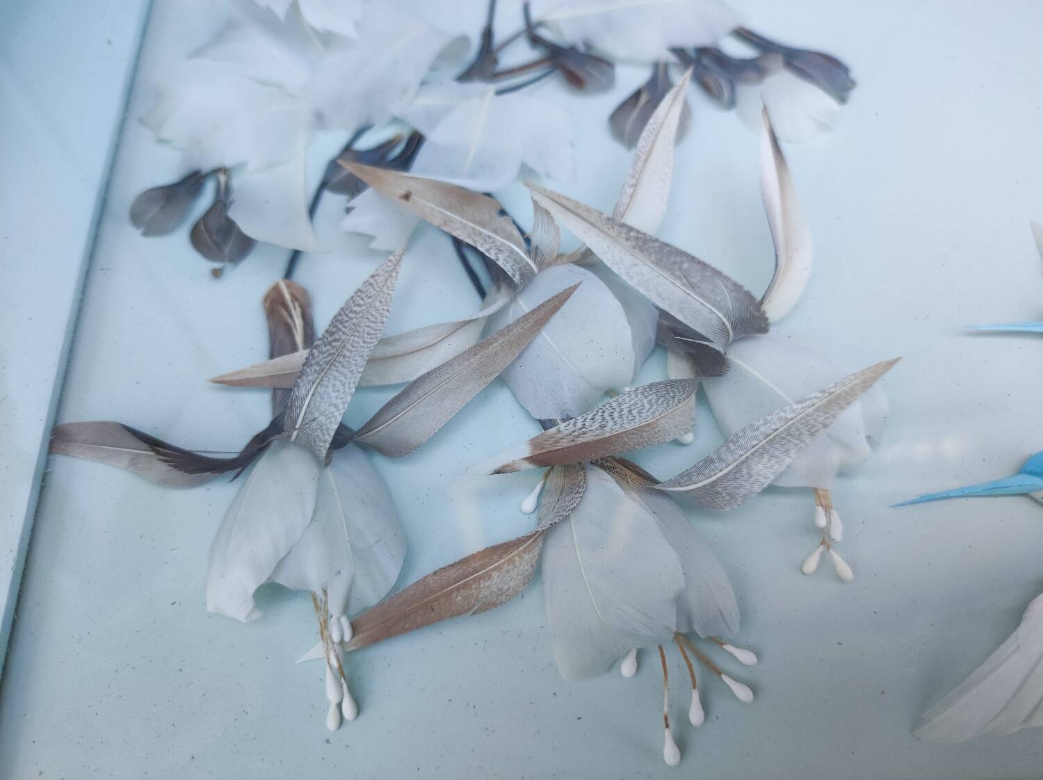 Two vintage paintings made with feathers, hummingbird motif