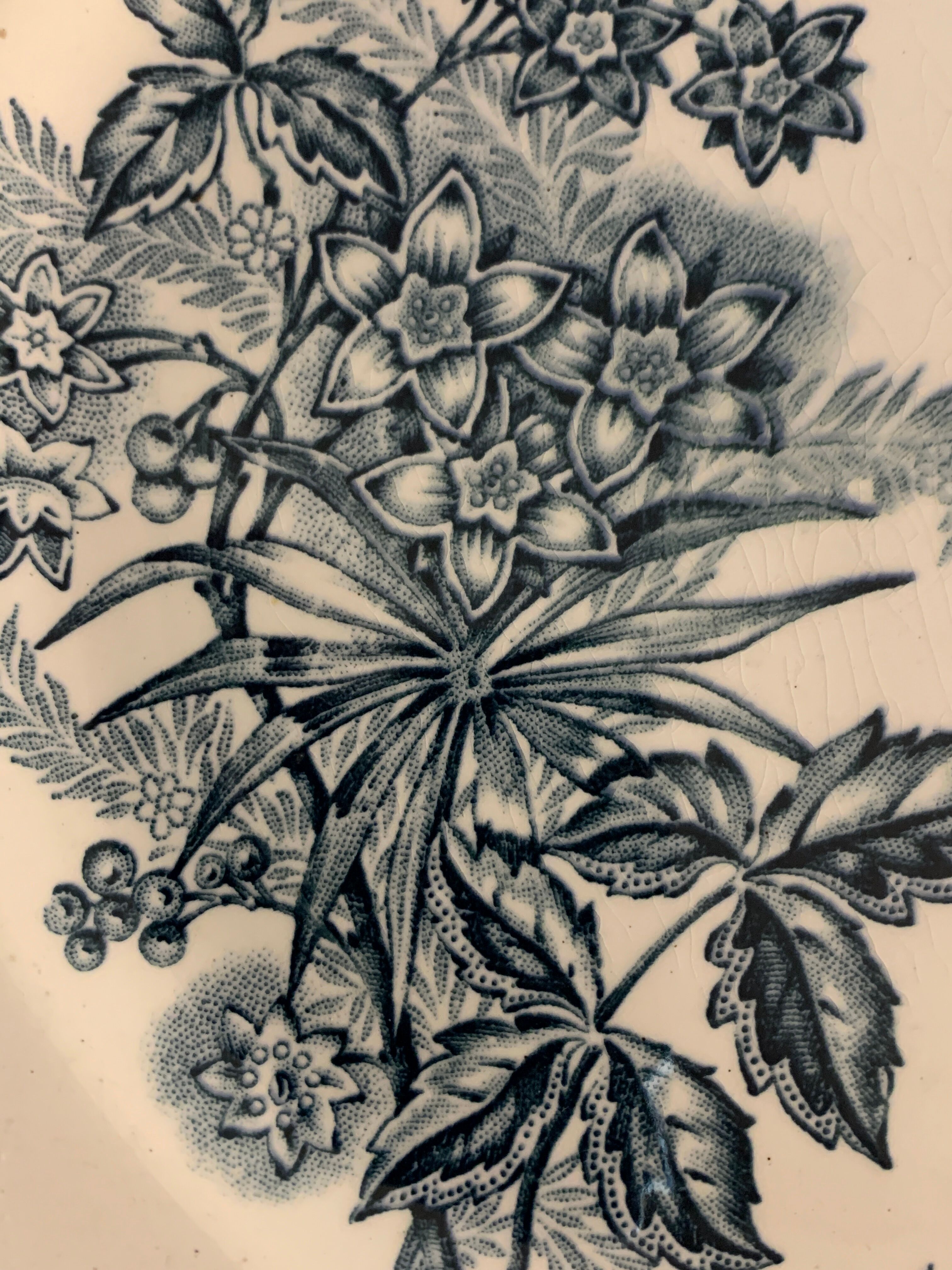 8 dessert plates St Amandinoise St Amand, model Margot