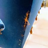 3 seater blue velvet sofa