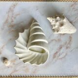 Empty cut English shell pocket