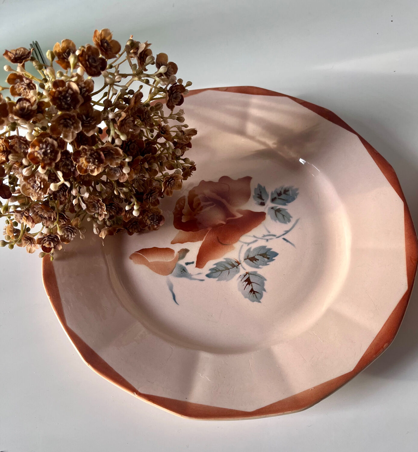 Set of 2 antique Sarreguemines earthenware plates with floral decoration