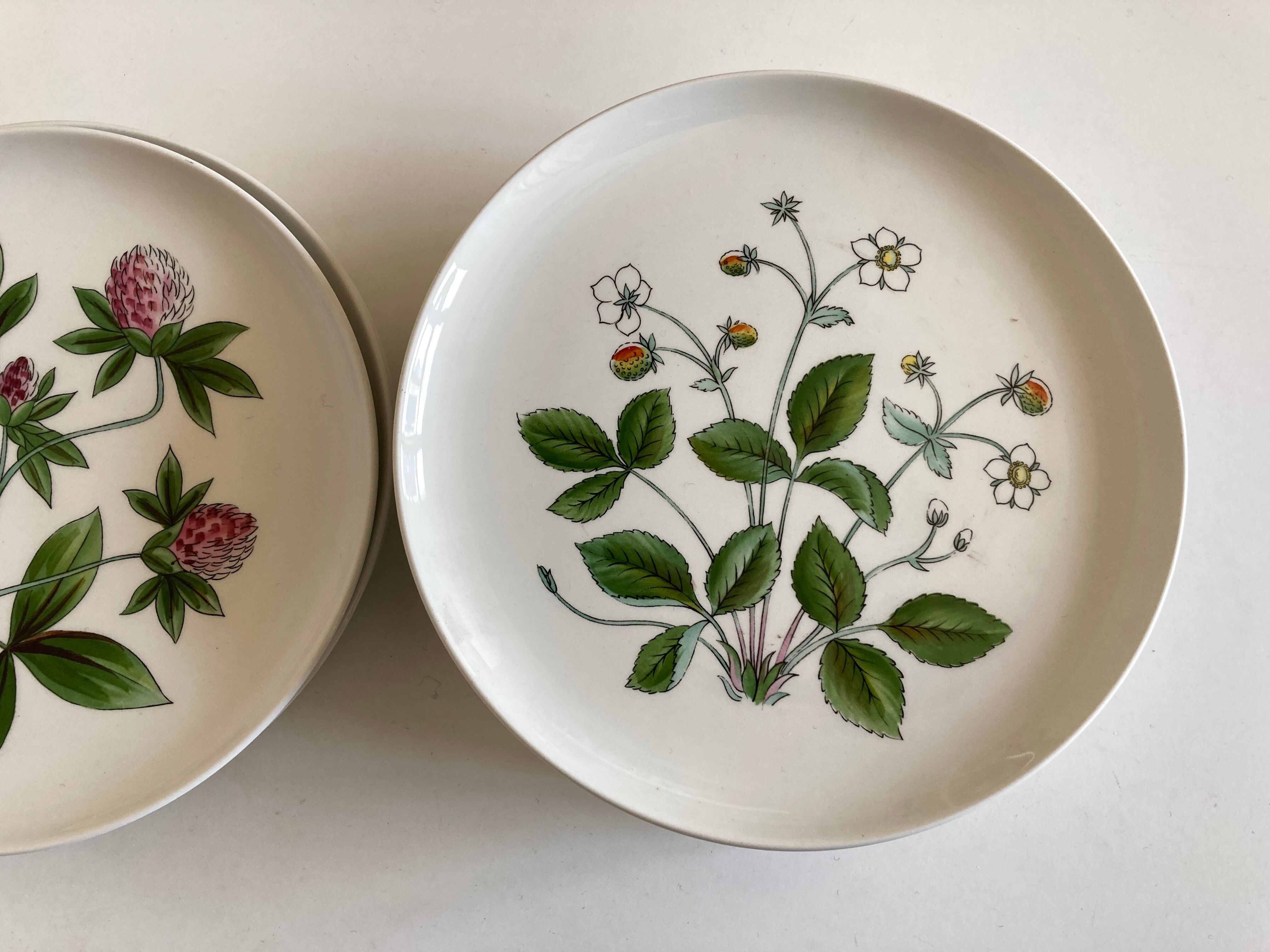 Set 11 assiettes fleurs Rorstrand Sweden Flora 1970