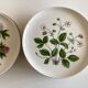 Set 11 assiettes fleurs Rorstrand Sweden Flora 1970