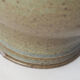 Pitcher enn bluish sandstone