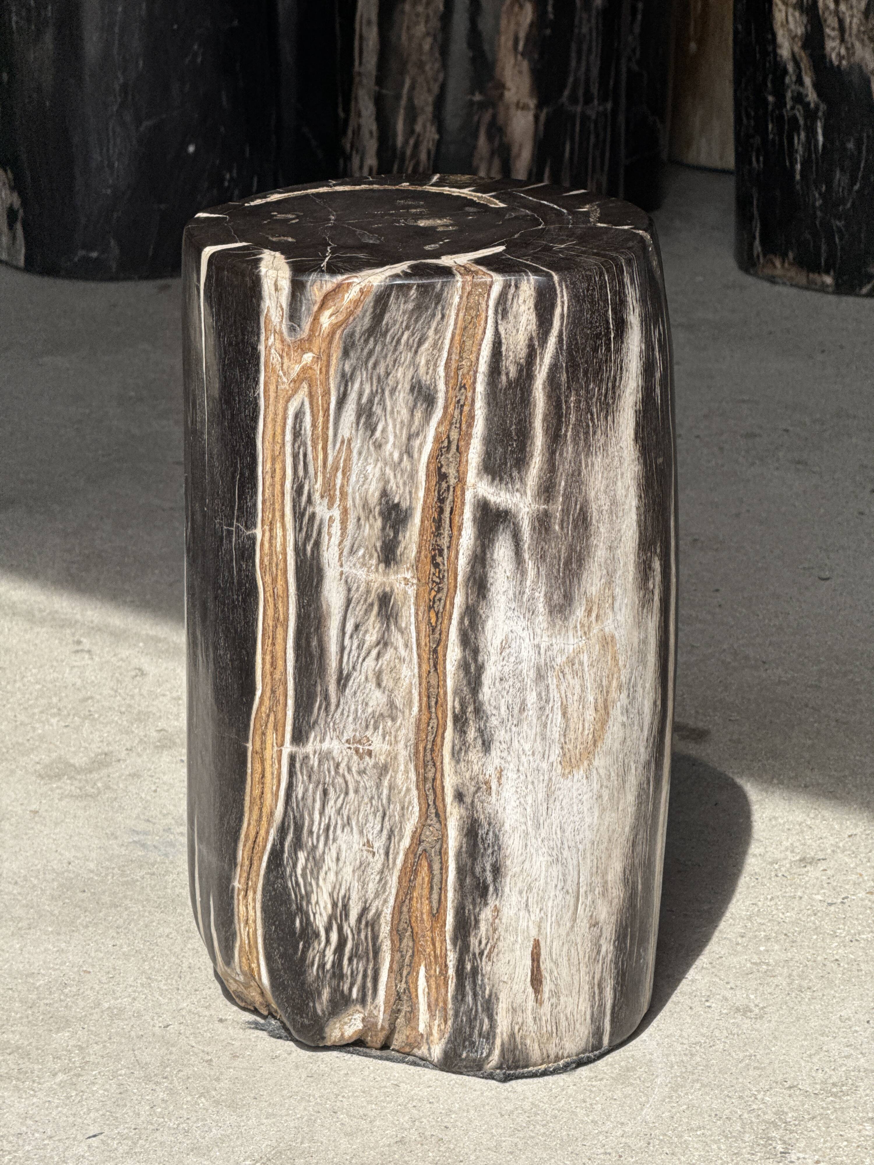 Table d'appoint en bois pétrifié noir