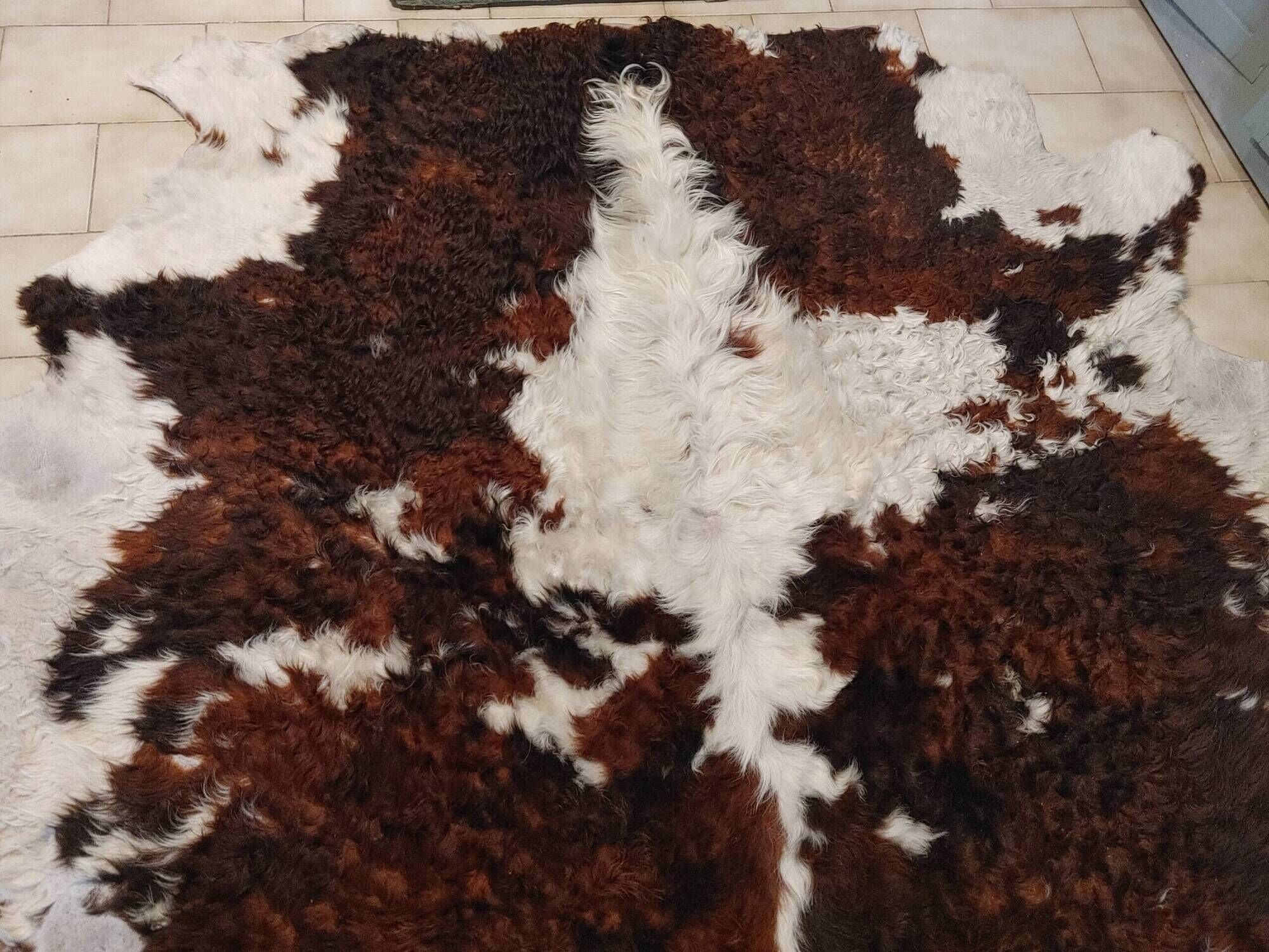 Rug, Large cowhide with fairly long hair - Vintage 70's Tannerie Barjols