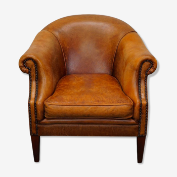 Vintage club armchair in cognac leather Netherlands