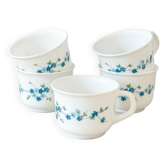 Set of 5 Arcopal forget-me-not coffee cups