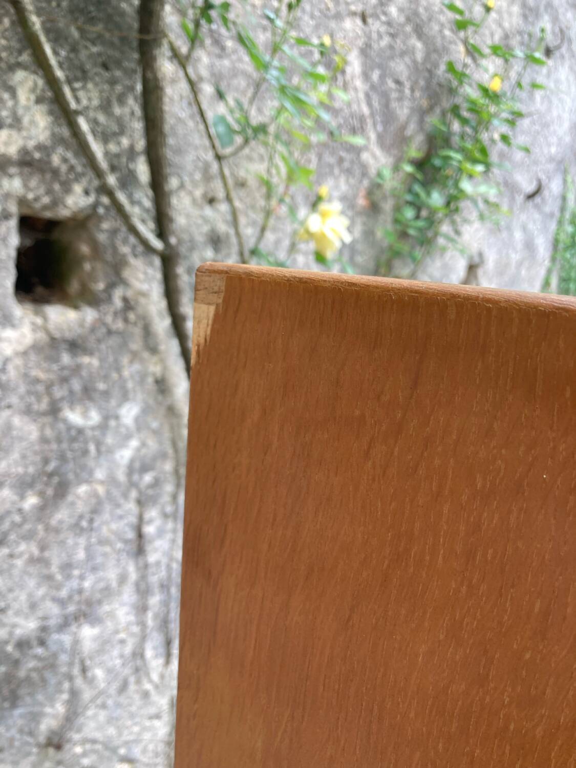 Vintage bookcase shelf