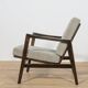 Model 300-139 Armchair from Swarzędz Factory, Poland, 1960s
