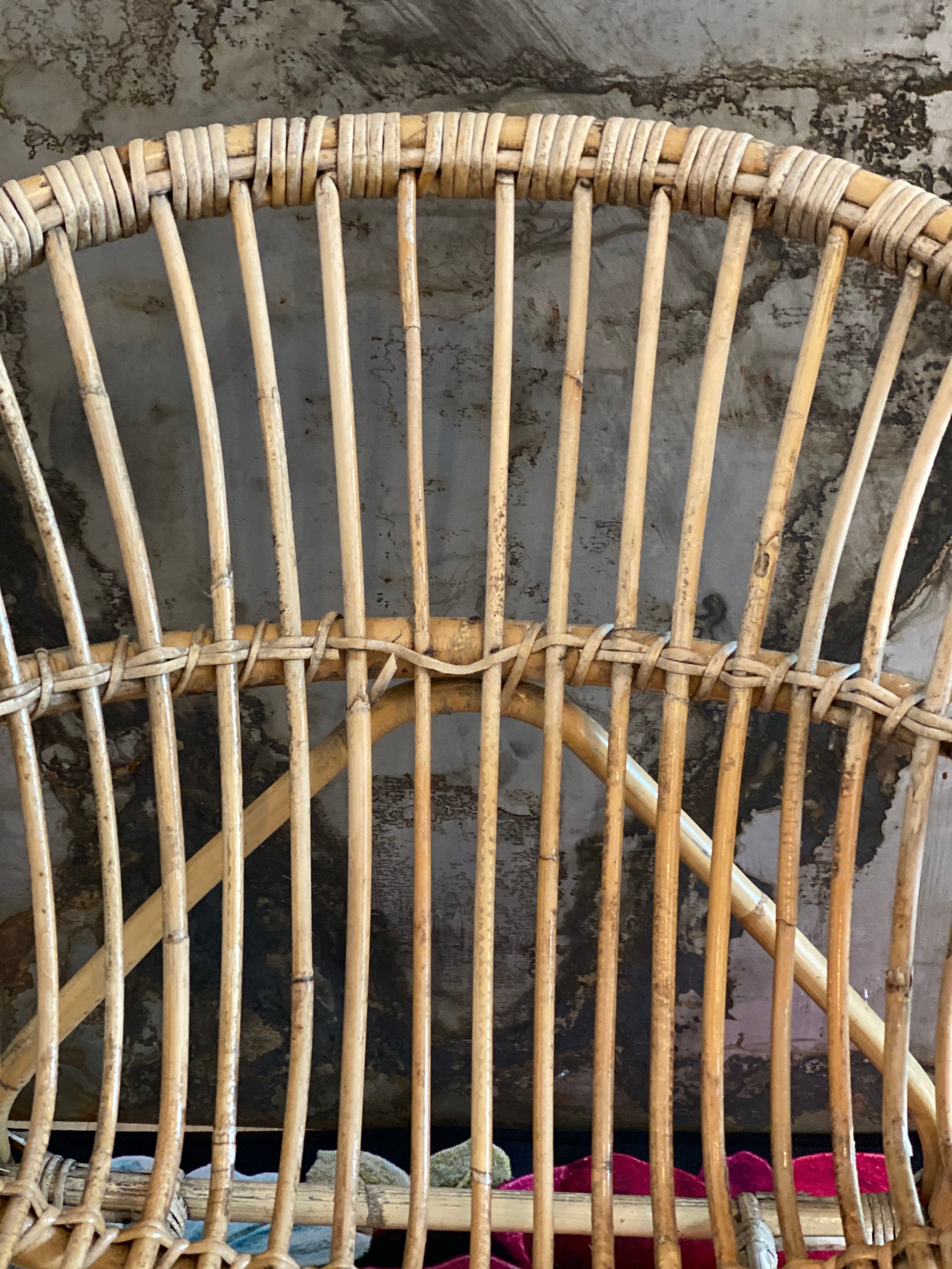 Adult wicker shell chair