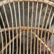 Adult wicker shell chair