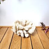 Large white coral cauliflower 18x15cm