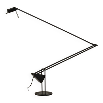Flamingo Floor Lamp by Luxo