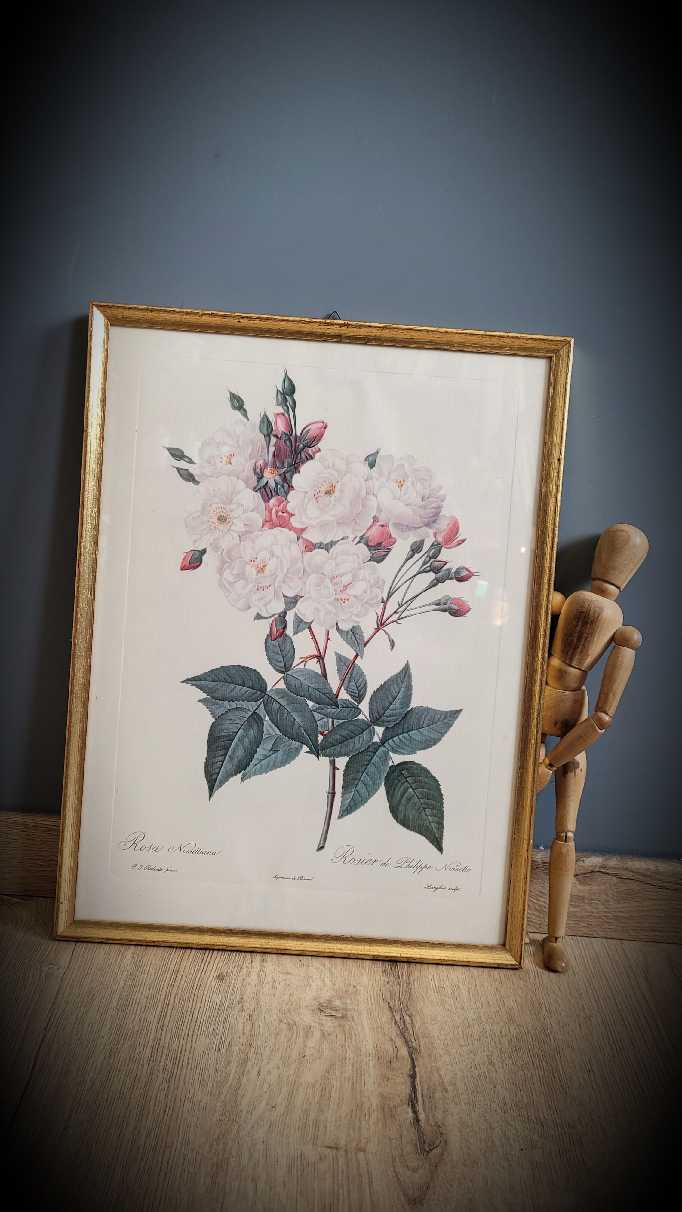 Litho Rose Philippe Noisette