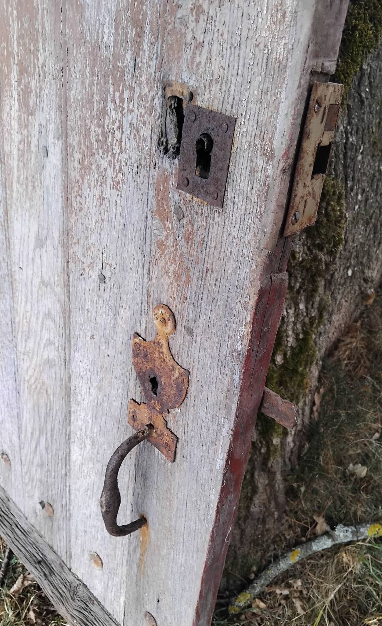 Ancienne porte en bois