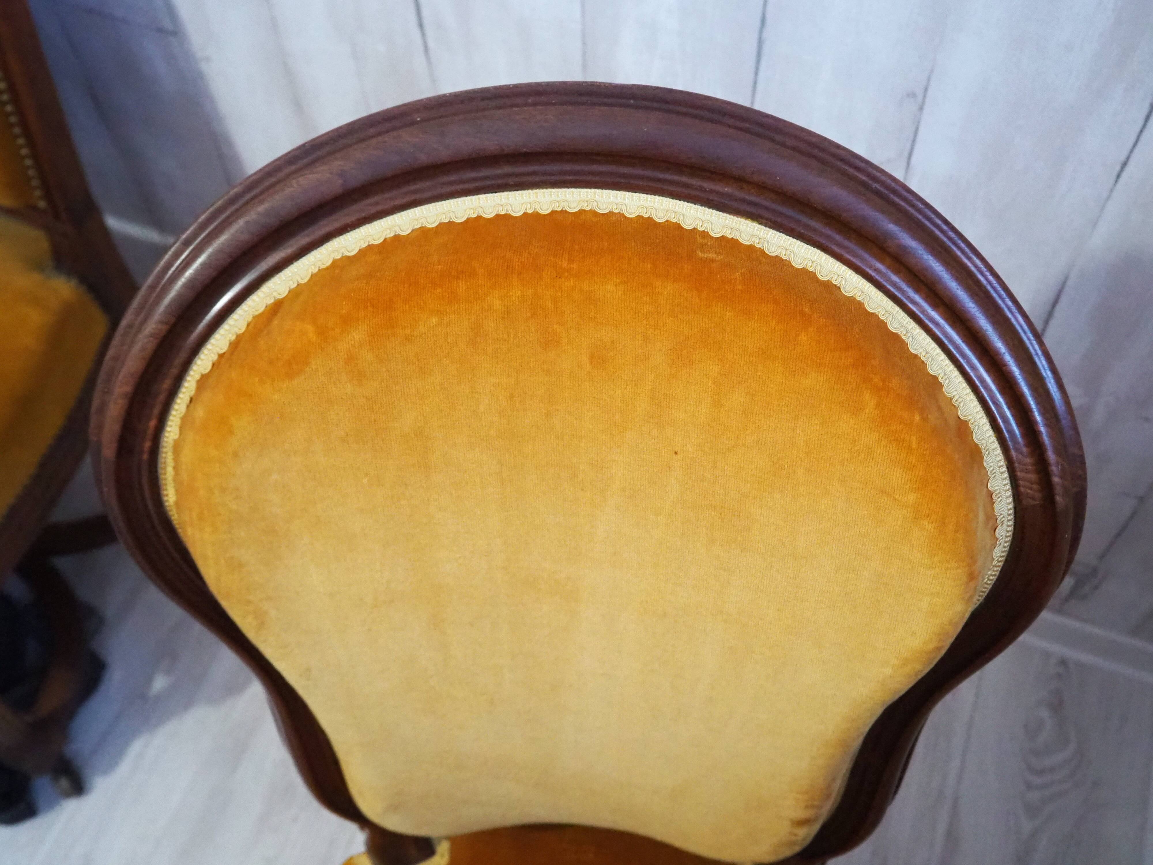 Antique Louis Philippe style padded chair - Wooden structure and horsehair padding - Color m