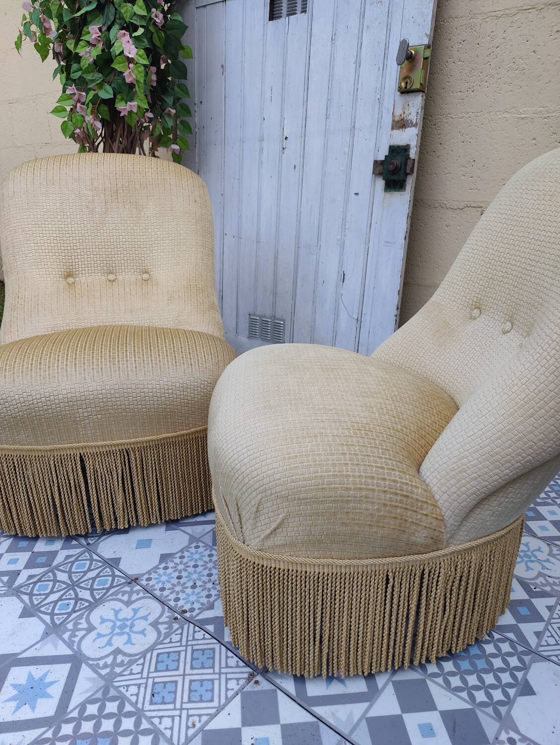 Pair of toad armchairs