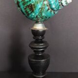 Cabinet of Curiosities turbo imperialis shell on base
