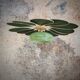 Rattan and Green Linen Flower Pendant Light and Vintage Clichy Glass Globe