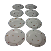 Lot de 8 Assiettes plates Moulin des Loups