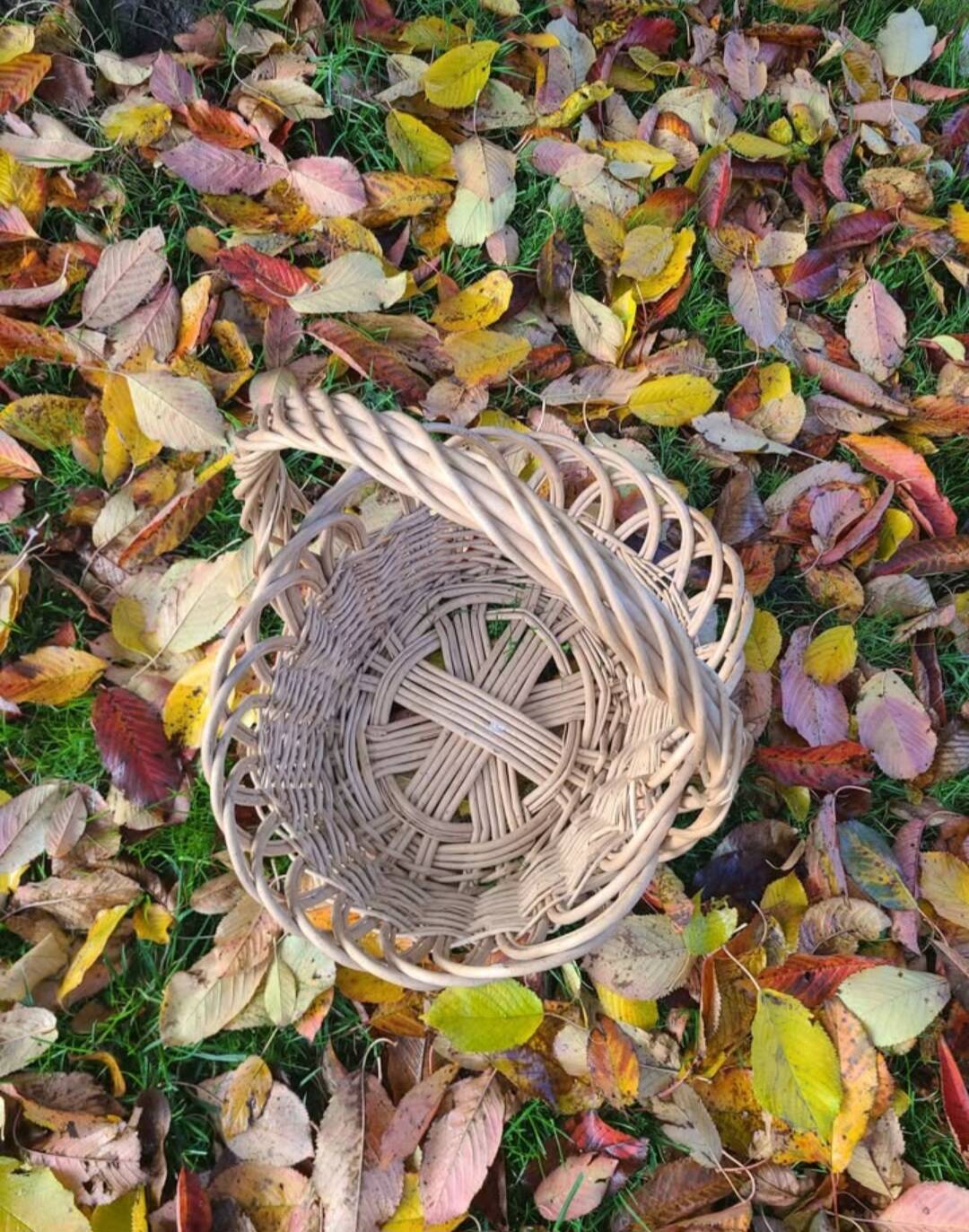 Wicker basket