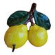 Porte torchon citron