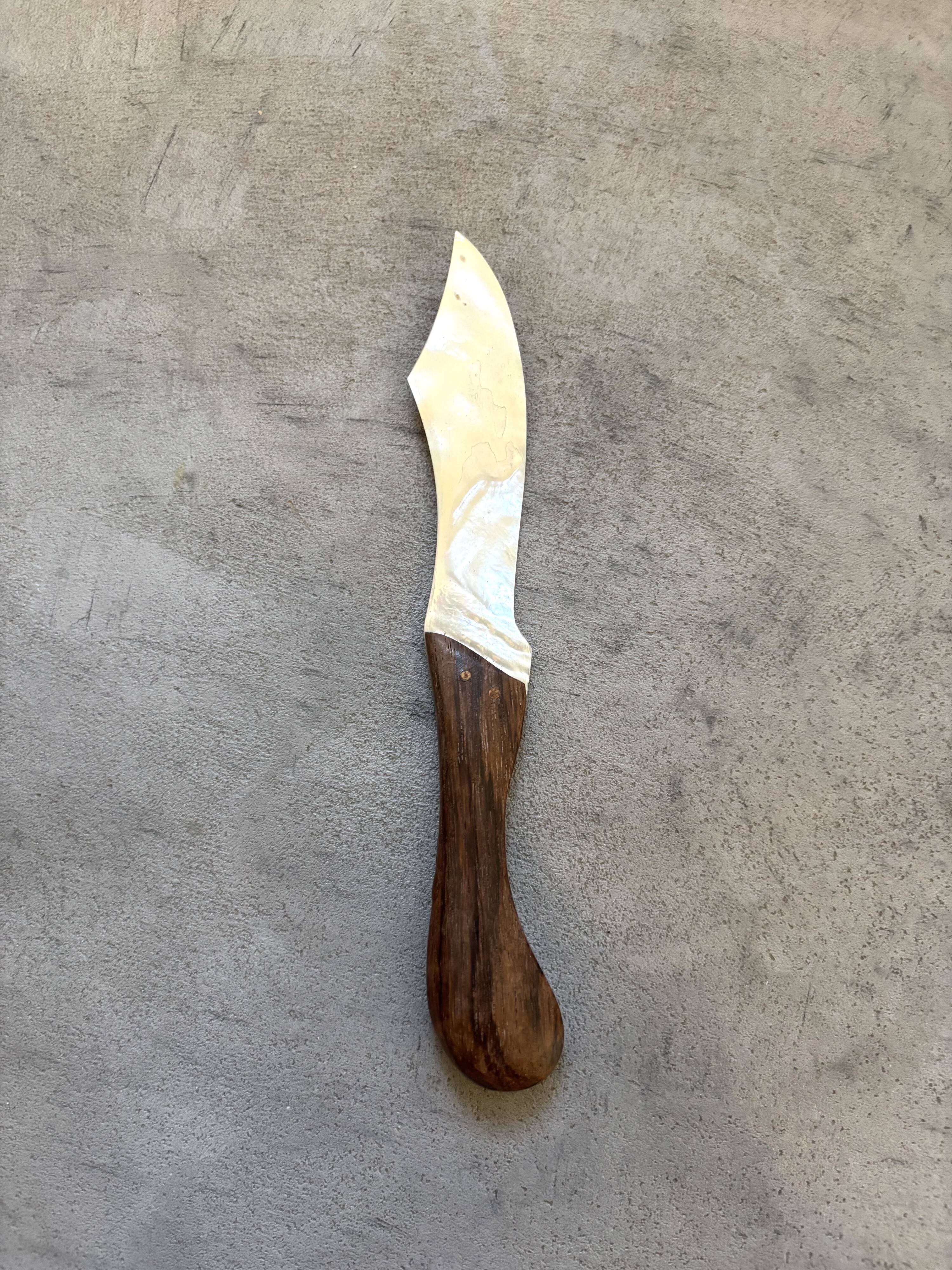 Mother-of-pearl spoon