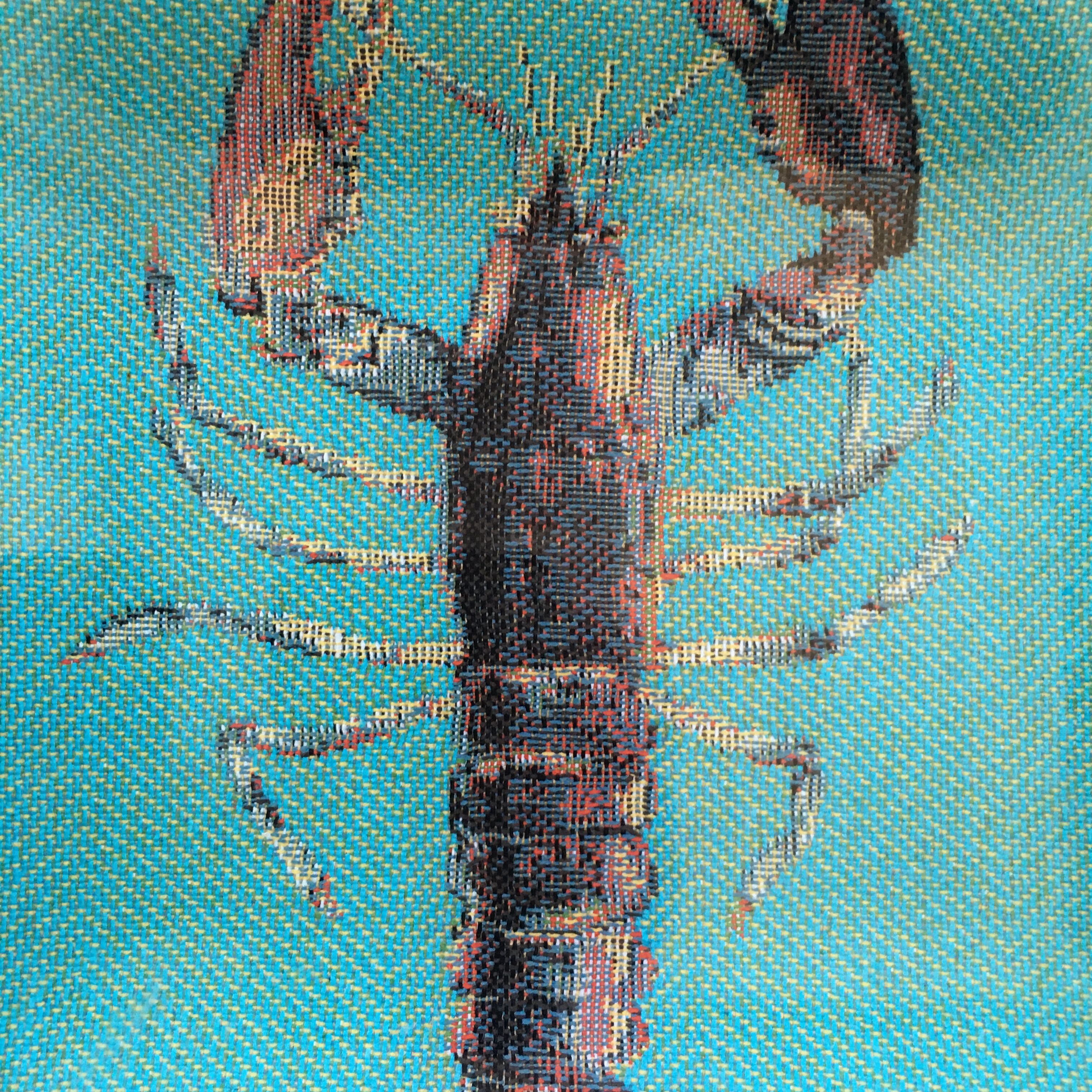 Empty pocket decorated lobster