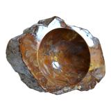 Empty pocket or ashtray in fossilized wood