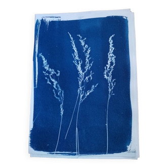 Cyanotype wild herbs 2 vintage blue