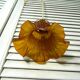 Dark amber glass hanging lamp
