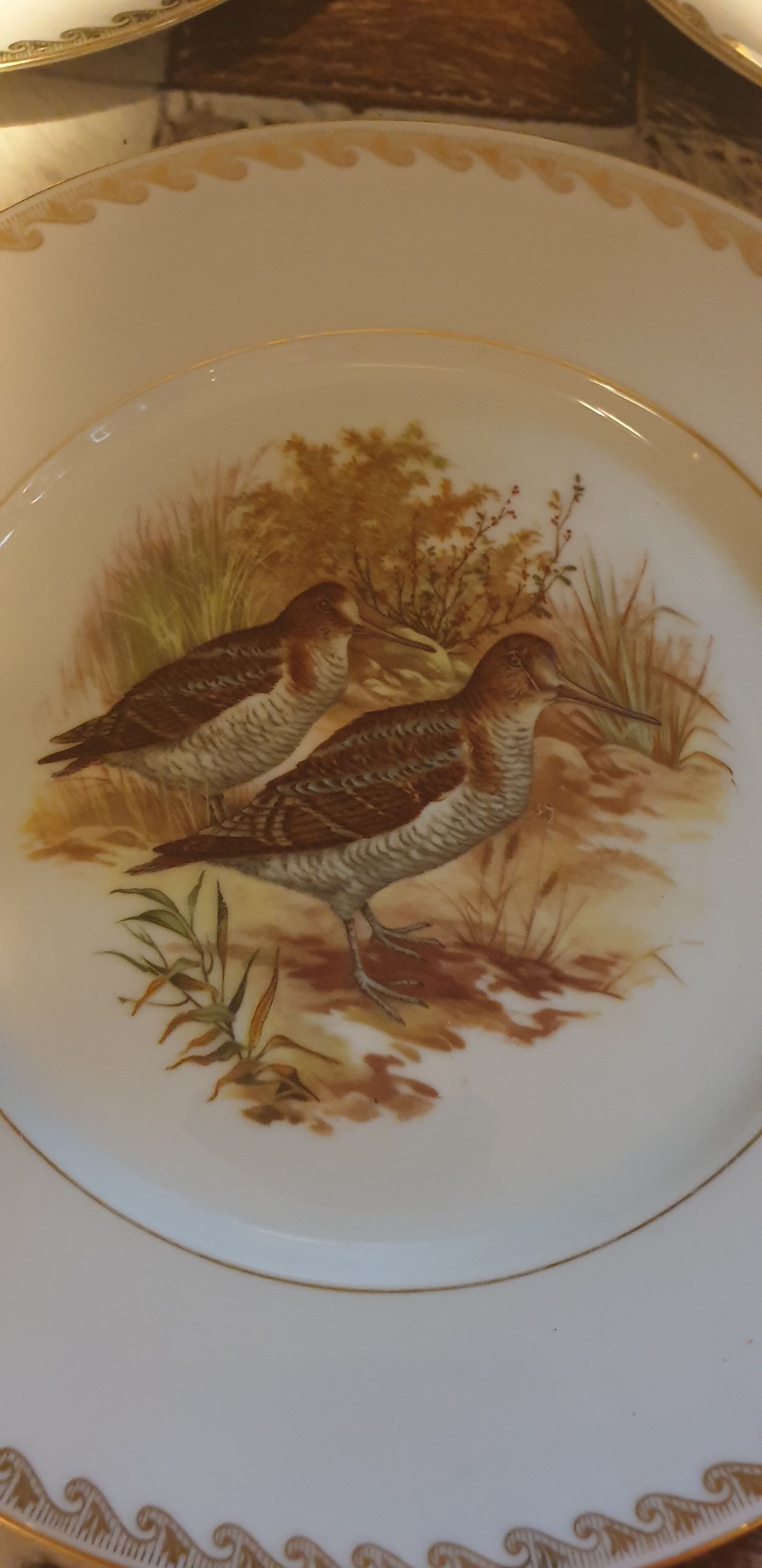 Lot de 24 assiettes plates scènes de gibiers