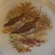 Lot de 24 assiettes plates scènes de gibiers