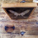 Butterfly with frame