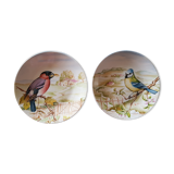 Lot de deux assiettes sarreguemines décor oiseaux