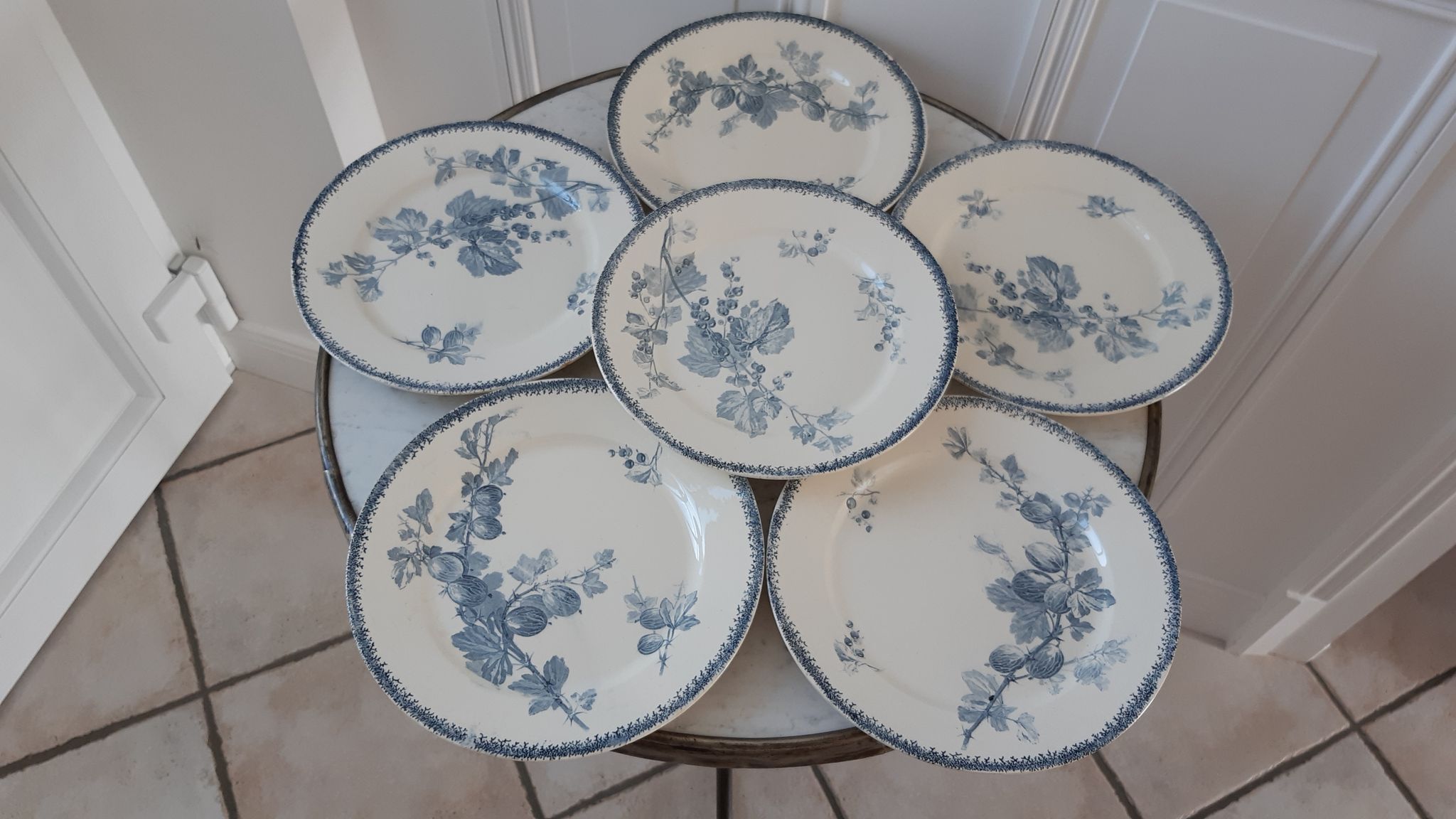 Set of 6 flat plates Terre de Fer U&C Sarreguemines model "Groseilles" late nineteenth