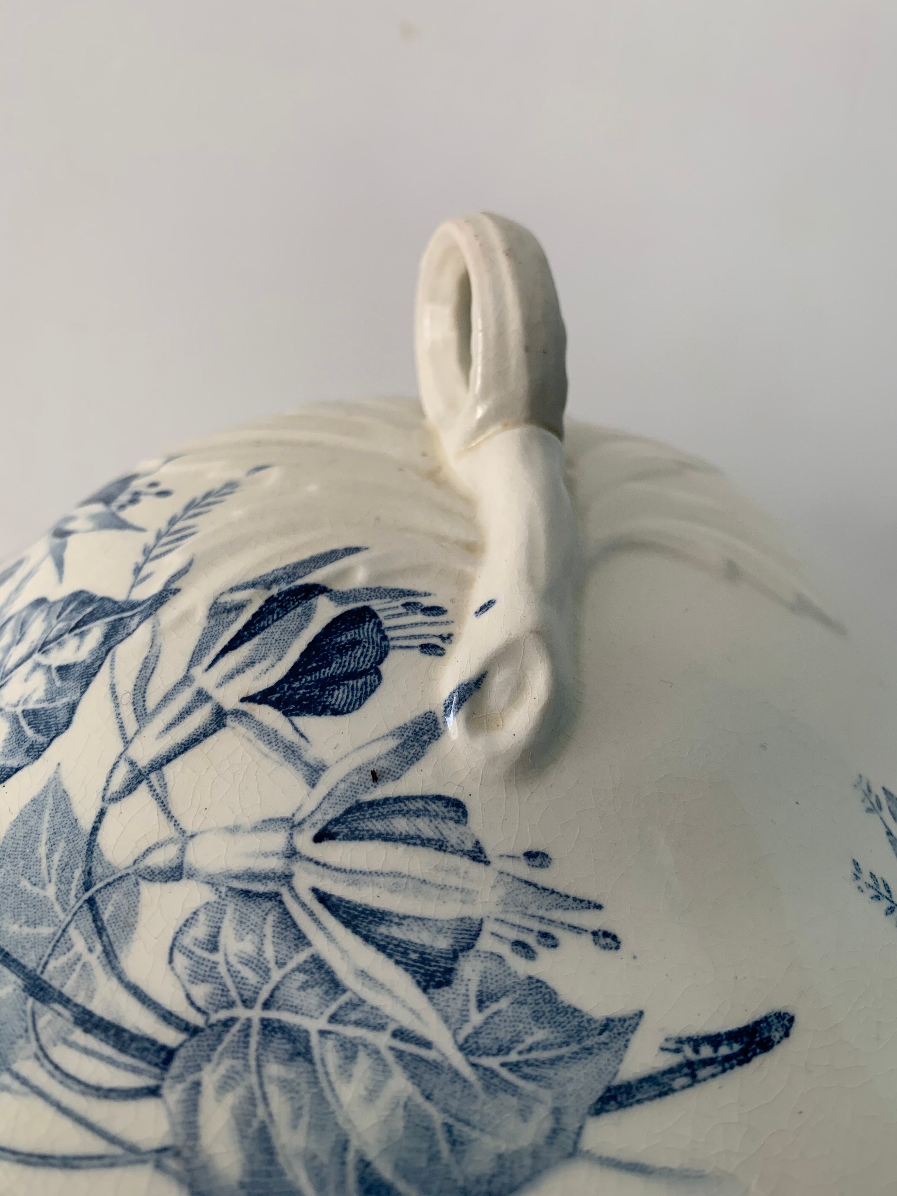 Old blue soup, Terre de Fer, martha model