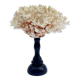 Corail blanc naturel ancien sur socle en bois tourné napoléon iii xixe cabinet de curiosités