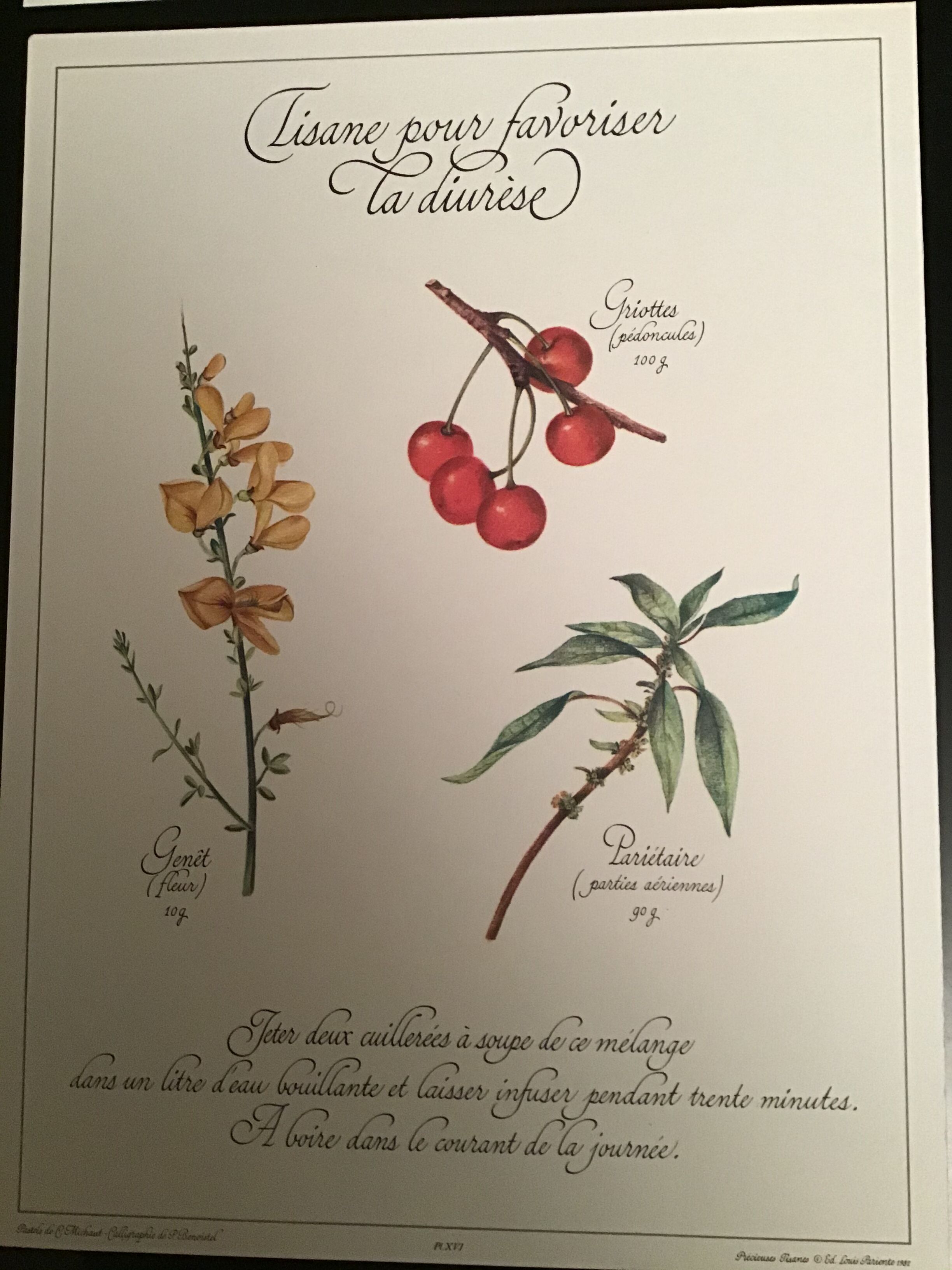 Lot posters ready herbal